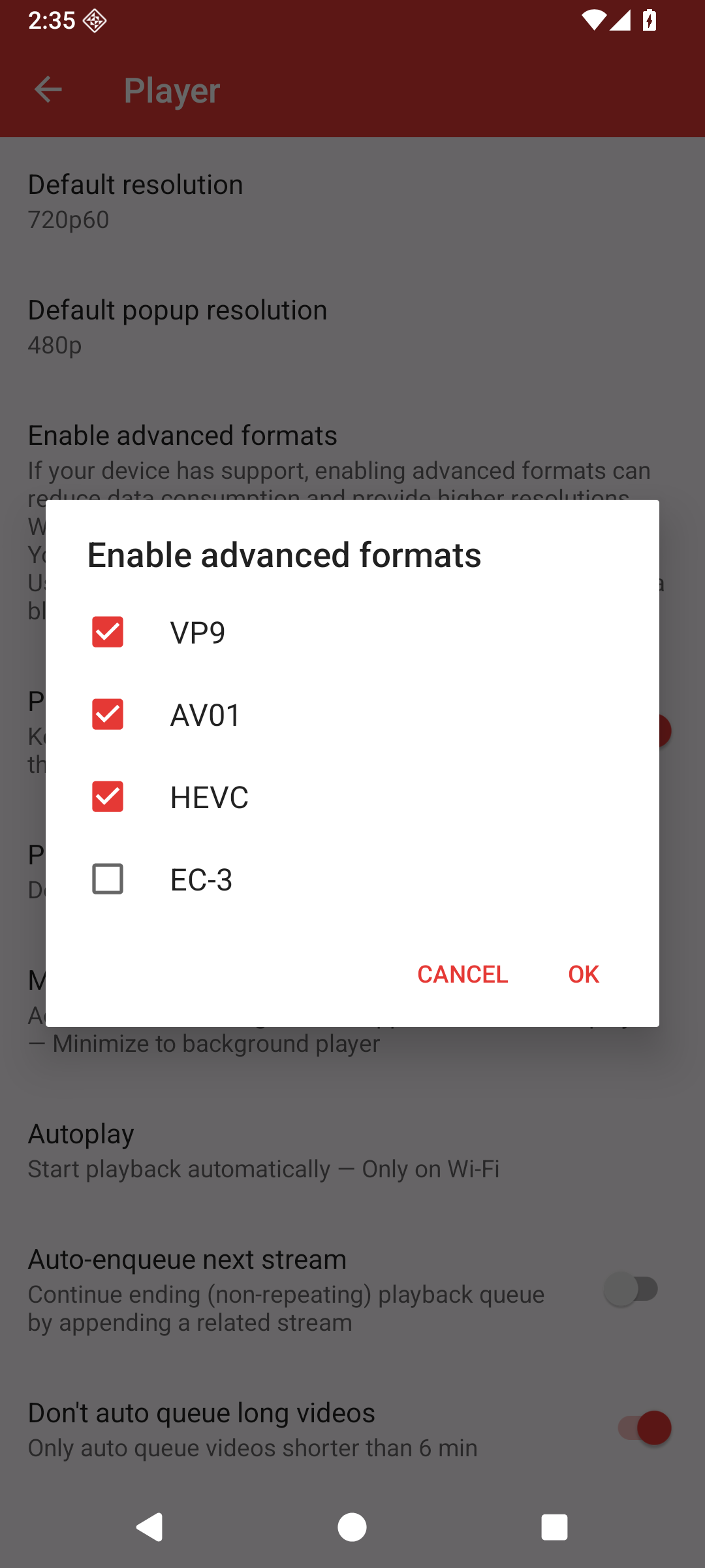 Advanced formats dialog with a red check beside AV01
